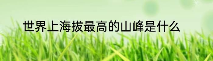 世界上海拔最高的山峰是什么