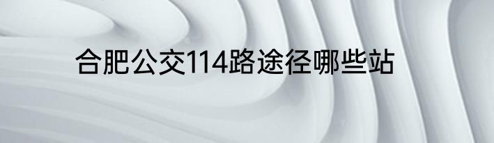 合肥公交114路途径哪些站