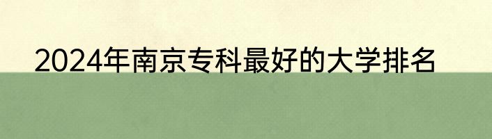 2024年南京专科最好的大学排名