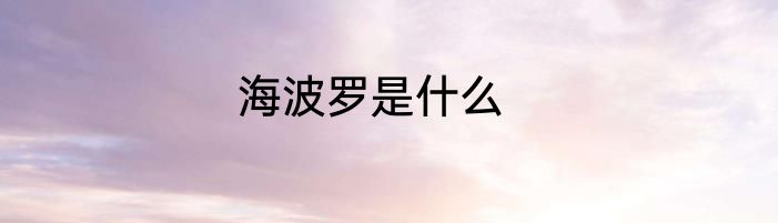 海波罗是什么
