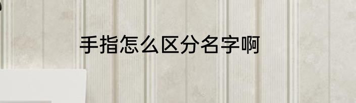 手指怎么区分名字啊