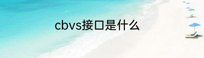 cbvs接口是什么