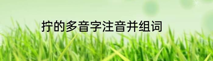 拧的多音字注音并组词