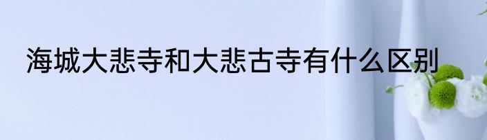 海城大悲寺和大悲古寺有什么区别