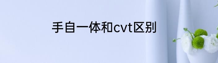 手自一体和cvt区别