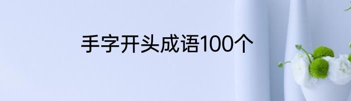 手字开头成语100个