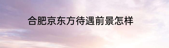 合肥京东方待遇前景怎样