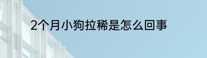 2个月小狗拉稀是怎么回事