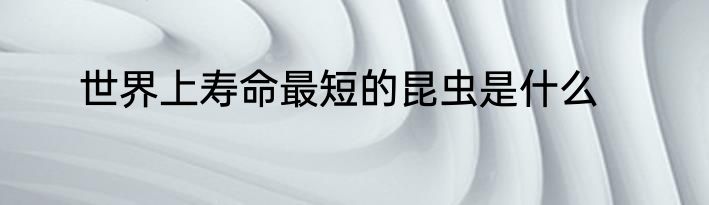 世界上寿命最短的昆虫是什么