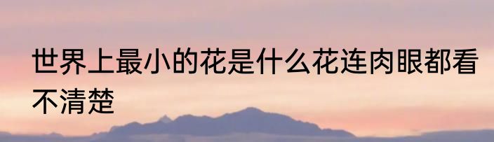 世界上最小的花是什么花连肉眼都看不清楚