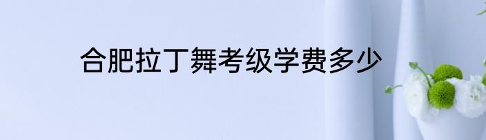 合肥拉丁舞考级学费多少