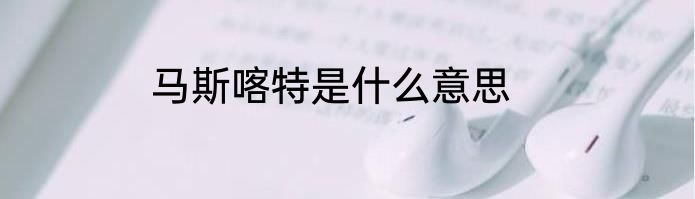马斯喀特是什么意思