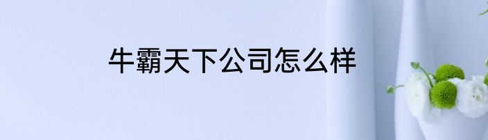 牛霸天下公司怎么样