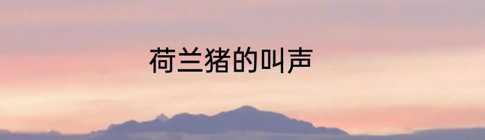 荷兰猪的叫声
