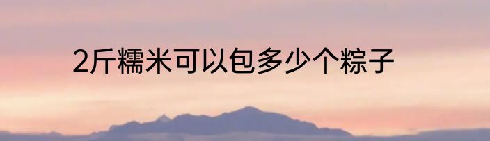 2斤糯米可以包多少个粽子