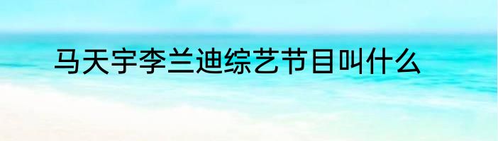 马天宇李兰迪综艺节目叫什么