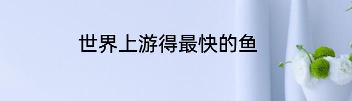 世界上游得最快的鱼
