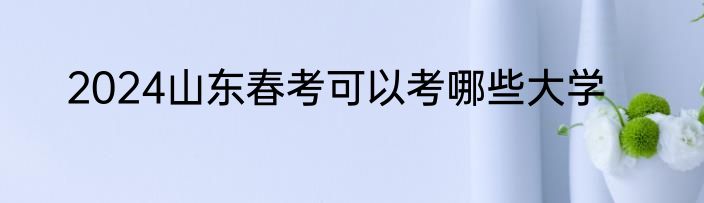 2024山东春考可以考哪些大学
