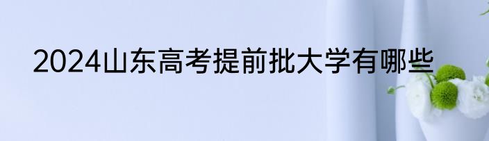 2024山东高考提前批大学有哪些