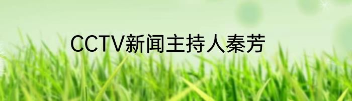 CCTV新闻主持人秦芳