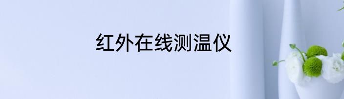 红外在线测温仪