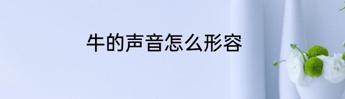 牛的声音怎么形容