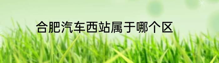合肥汽车西站属于哪个区