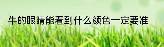 牛的眼睛能看到什么颜色一定要准