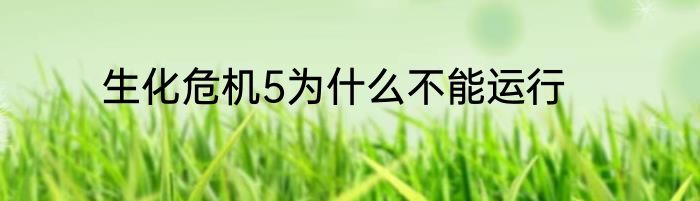 生化危机5为什么不能运行
