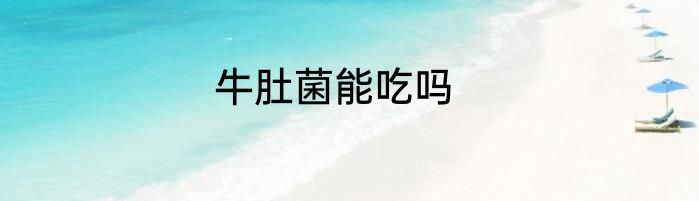 牛肚菌能吃吗