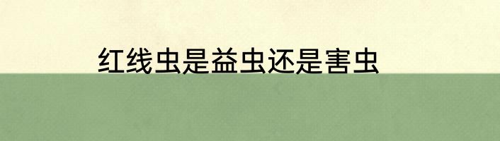 红线虫是益虫还是害虫