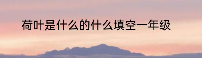 荷叶是什么的什么填空一年级