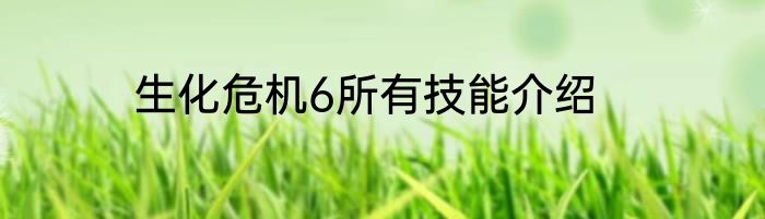 生化危机6所有技能介绍