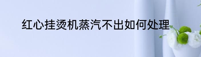 红心挂烫机蒸汽不出如何处理