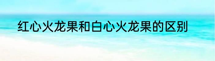 红心火龙果和白心火龙果的区别