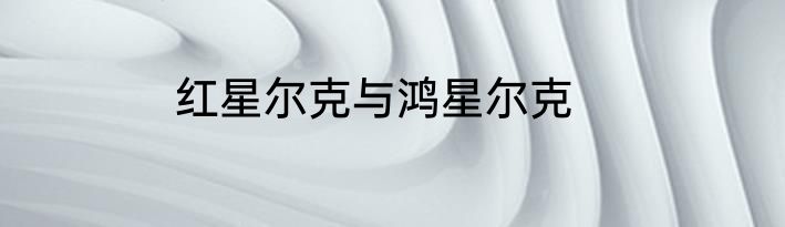 红星尔克与鸿星尔克