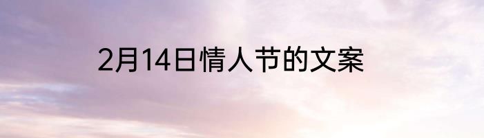 2月14日情人节的文案