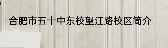 合肥市五十中东校望江路校区简介