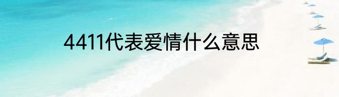 4411代表爱情什么意思