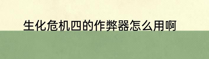 生化危机四的作弊器怎么用啊