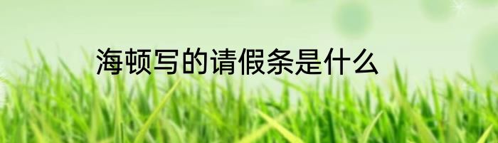 海顿写的请假条是什么