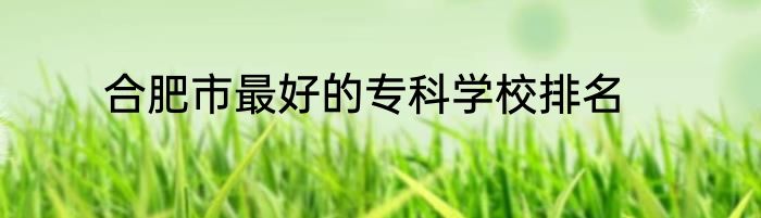 合肥市最好的专科学校排名