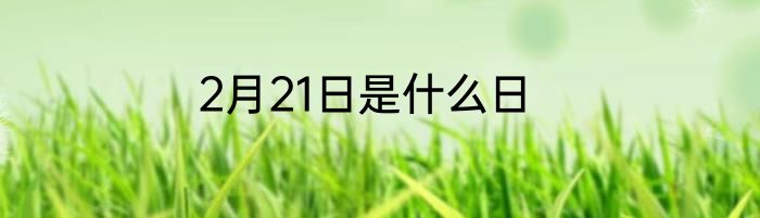 2月21日是什么日