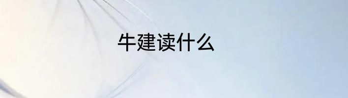 牛建读什么