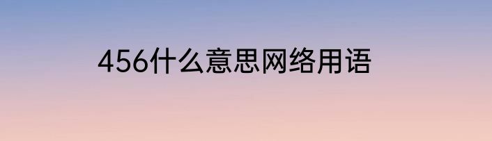456什么意思网络用语