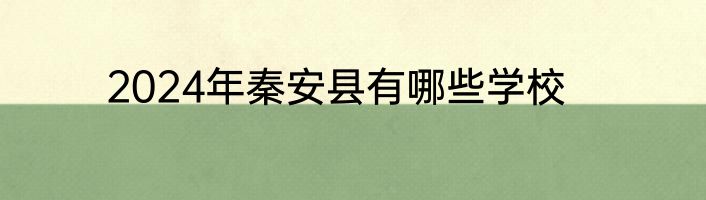 2024年秦安县有哪些学校