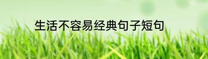 生活不容易经典句子短句
