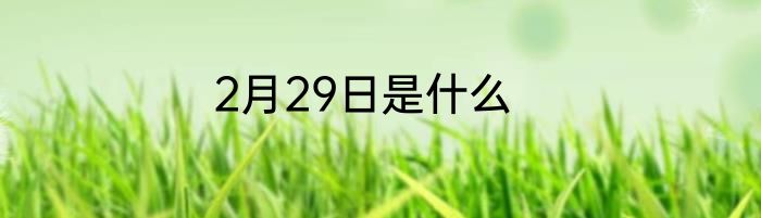2月29日是什么