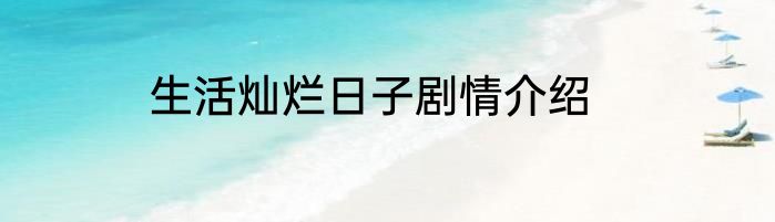 生活灿烂日子剧情介绍