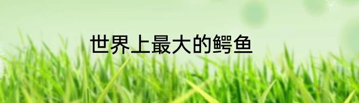 世界上最大的鳄鱼